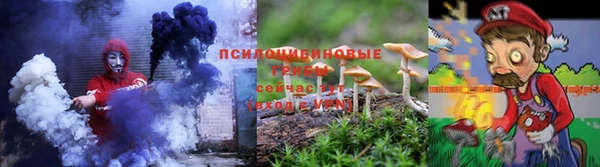 прущие грибы Бородино