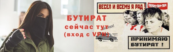 прущие грибы Бородино