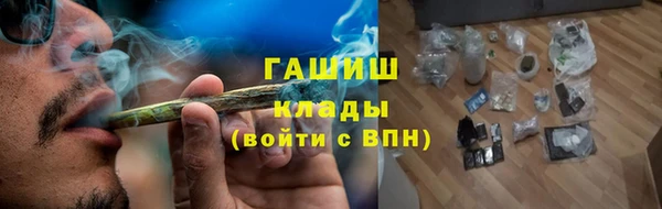 прущие грибы Бородино