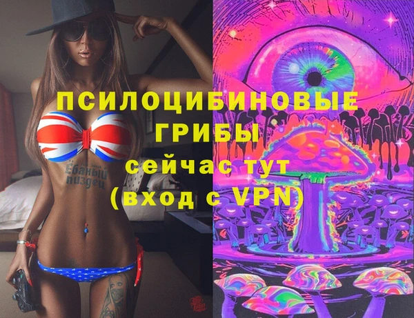 прущие грибы Бородино