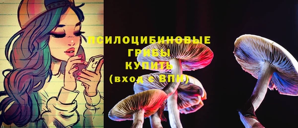 прущие грибы Бородино