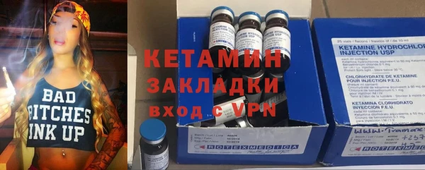 прущие грибы Бородино