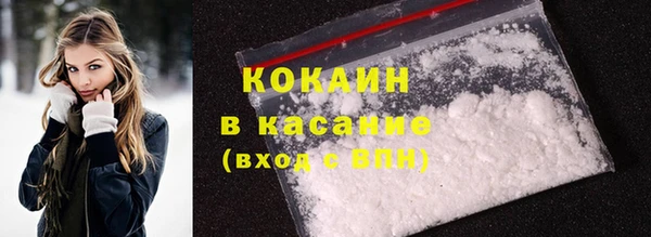 прущие грибы Бородино