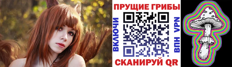 Псилоцибиновые грибы MAGIC MUSHROOMS  цены   mega маркетплейс  Курск 